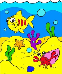 ocean colouring school incursions marine education