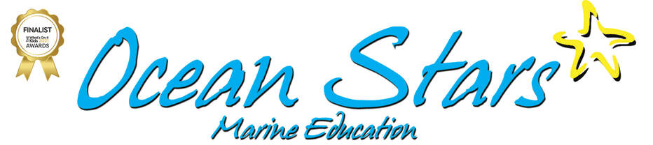 Ocean Stars Marine Education - Bringing the Ocean Into Your Classroom!