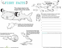 fish facts school incursions marine education